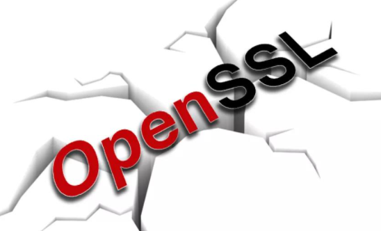 OpenSSL�����徲�����������������޸���Ʒ�е�2���徲���.png